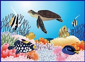 Ms. Brittany's Pre-Kindergarten Blog: Ocean Animals