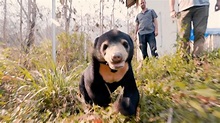 BBC Two - Bears About the House, Series 1, Episode 1, Mary’s first big walk