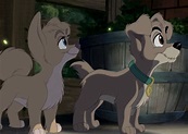 Angel and Scamp from Lady & the Tramp 2 All Grown Up, Lady And The ...