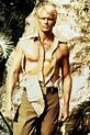 Foto de Ron Ely - Doc Savage: El hombre de bronce : Foto Michael ...