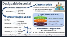 Resumo: Desigualdade e Estratificação Social – Click Sociológico