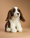 English Springer Spaniel Puppy | Soft Toy Dog Gifts | Send a Cuddly