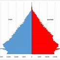 Population pyramid, January 1 st , 2011 | Download Scientific Diagram