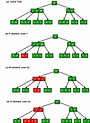 Supprimer l’opération dans B-Tree – StackLima