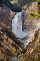 Lower Falls, Yellowstone National Park is a photograph by Paul ...