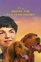 [Poster] Where The Red Fern Grows (2003) : r/PlexPosters