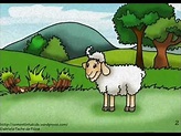Parábola de las 100 ovejas - YouTube