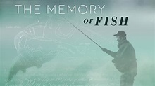 Watch The Memory of Fish (2016) Full Movie Online - Plex