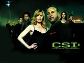 CSI - Scena del crimine (CSI: Crime Scene Investigation) - Voto 10 Serie TV