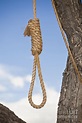 Hangmans Noose in a Tree Photograph by Bryan Mullennix - Fine Art America