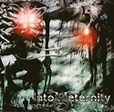 INTO ETERNITY The Incurable Tragedy reviews
