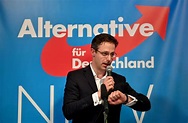 NRW-Fraktionschef: Marcus Pretzell verlässt die AfD - Politik