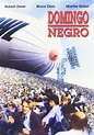 Domingo negro [DVD]: Amazon.es: Robert Shaw, Bruce Dern, Marthe Keller ...