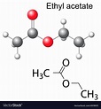 Formula and model of ethyl acetate molecule Vector Image