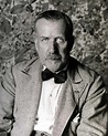 Heinrich Mann image