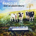 Banco de Gaia – Live at Glastonbury – 20th Anniversary Edition ‹ Disco ...
