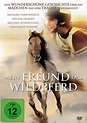 Mein Freund das Wildpferd (DVD)
