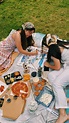 picnic | summer with friends | Picnic inspiration, Picnic, Summer friends
