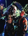 KEVIN PETER HALL and ARNOLD SCHWARZENEGGER in PREDATOR -1987 ...