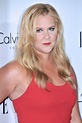 AMY SCHUMER at 2015 Elle Women in Hollywood Awards in Los Angeles 10/19 ...