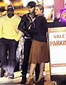 Dianna Agron and ex-boyfriend Sebastian Stan smooch in the street after ...