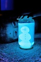 DIY Glow-in-the-Dark Snow Globes | AllFreeHolidayCrafts.com
