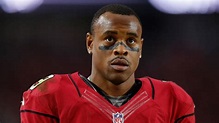 NFL free agency: Ted Ginn Jr. exepcted to return to Panthers - Sports ...