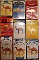 What Are The Different Types Of Camel Cigarettes / Form & convention ...