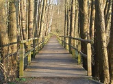 Eintritt frei: Rundwanderweg im Naturschutzgebiet Höltigbaum, Haus der ...