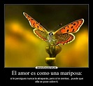 Mariposas De Amor