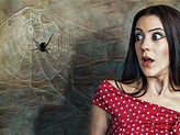 Aracnofobia: causas y síntomas. ¿Cómo tratar el miedo a las arañas?