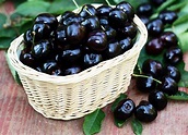 20 Science Proven Black Cherry Benefits For Skin, Hair & Health