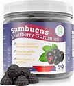 Buy Elderberry Gummies for Kids and Adults - 260mg Sambucus Zinc and C ...