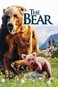 The Bear Movie Trailer - Suggesting Movie