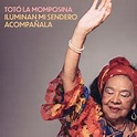 Iluminan Mi Sendero / Acompañala／Totó La Momposina｜音楽ダウンロード・音楽配信サイト ...