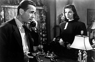 7 Best Film Noirs to Stream Right Now | IndieWire