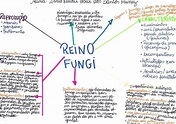 Reino Fungi - Mapa Mental - EDULEARN