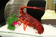 澳洲龙虾摄影图__食物原料_餐饮美食_摄影图库_昵图网nipic.com