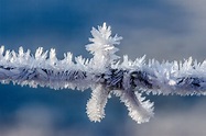 wallpaper hoarfrost, frost, branch HD : Widescreen : High Definition ...