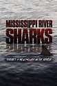 Mississippi River Sharks - Full Cast & Crew - TV Guide
