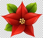 nochebuena clipart 10 free Cliparts | Download images on Clipground 2023