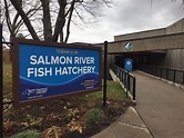 $150,000 renovation of Salmon River fish hatchery done, more ...