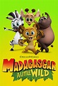 Madagascar: A Little Wild (TV Series 2020-2022) - Posters — The Movie ...