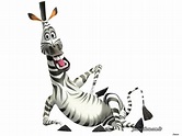 Marty - Marty the Zebra Photo (24376417) - Fanpop