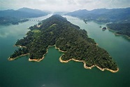 Belum Rainforest Resort ''All inclusive package'' - Belum Temenggor