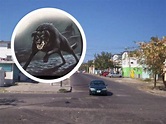 Esta es la leyenda del Médano del perro en Veracruz que se desconoce ...
