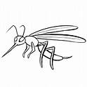 Dibujo de mosquito en el bosque para imprimir