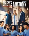 Grey's Anatomy: Guía de las temporadas - SensaCine.com.mx
