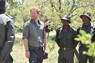 Things You Didn’t Know About Prince Harry | Reader's Digest Canada