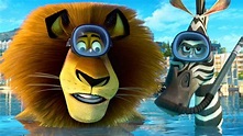 DreamWorks Madagascar en Español Latino | Alex y Marty Mejores Momentos ...